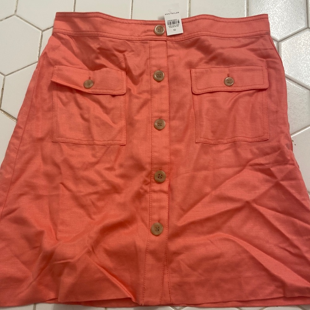 Ann Taylor amazing skirt